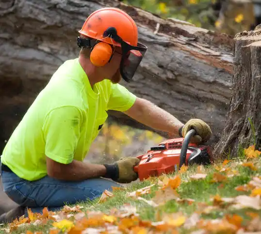 tree services Duck Hill